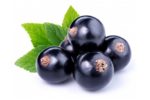 BlackcurrantAct as a blood purifier, neutralize free radicals that are responsible for the disruption in the body. Slows the aging process.